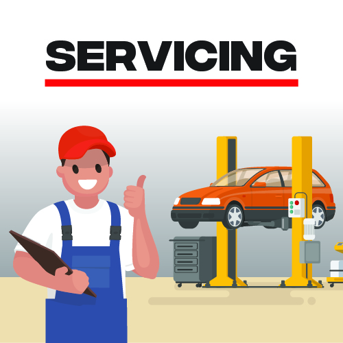 Wholesale 2000x600 Service